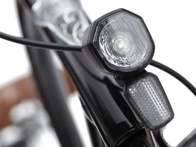 Electra Townie Go! 5i Step Thru EU 26 Ebony Produktbild 6