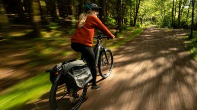 Trek Powerfly+ 8 EU M 29 Satin Lunar Silver/Bronze Age Produktbild 10