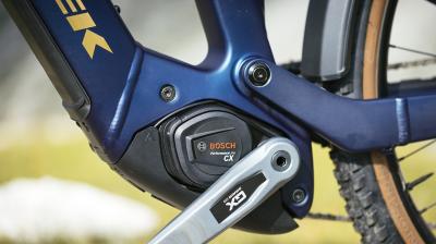 Trek Powerfly+ 8 EU L 29 Satin Lunar Silver/Bronze Age Produktbild 8