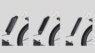 Diamant Zing Trip Core LS M Baumwollweiss Metallic 545Wh Produktbild 6