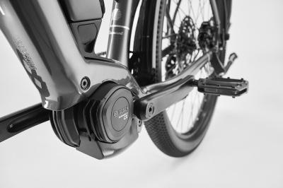 Diamant Zing Trip Core LS M Baumwollweiss Metallic 725Wh Produktbild 2