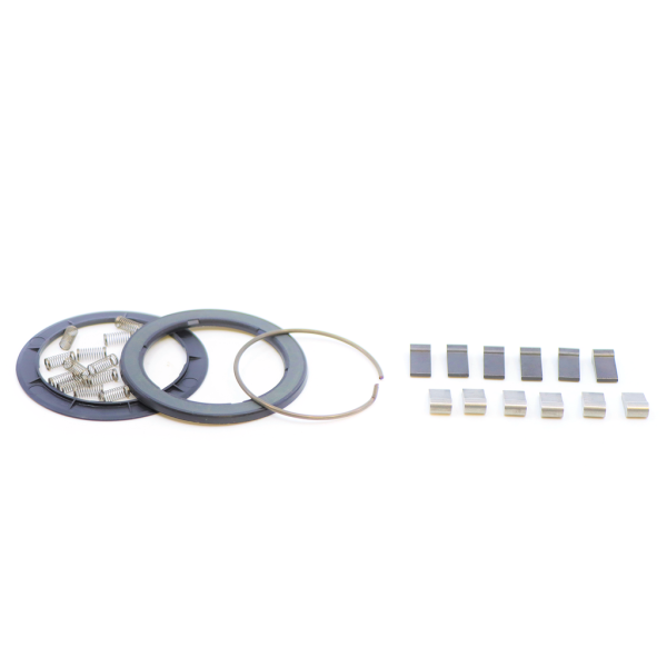 Zipp Spring and pawl Set for Zipp ZM2 Hubs one size